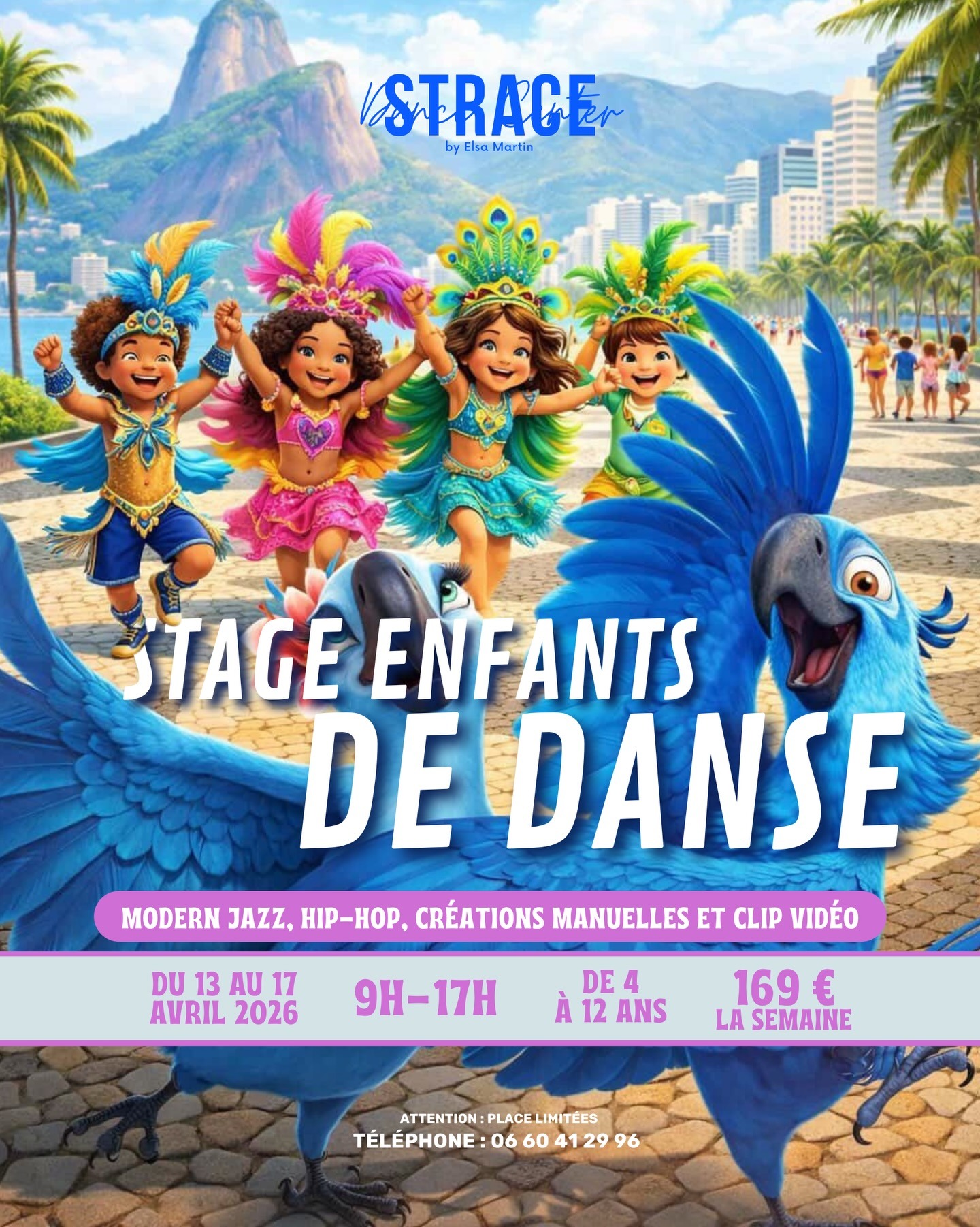 Affiche Stage Carnaval